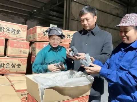 Ông chủ Bắc Ninh thu 40 tỷ đồng/năm nhờ biến cành củi khô thành thỏi 'vàng đen' không khói