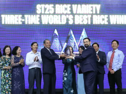 ST25 – Hạt gạo Việt Nam 3 lần chinh phục 'ngôi vương' thế giới