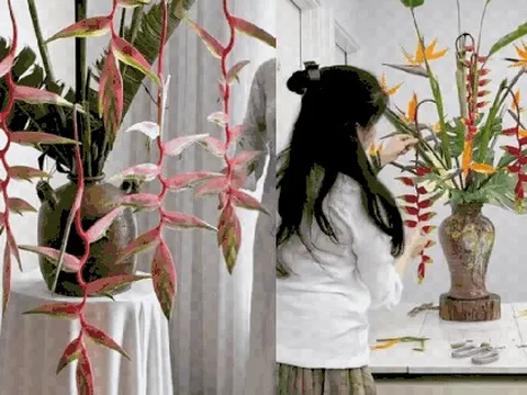 Chấn động loài hoa Tết đẹp từ nụ đến búp, chơi bền cả tháng, nhiều người đang đổ xô săn tìm