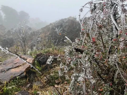 Không khí lạnh cực mạnh bao phủ miền Bắc, nhiệt độ giảm sâu, trời rét buốt đến khi nào?