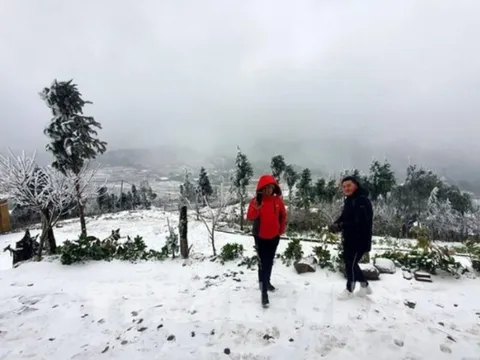 Dự báo thời tiết 8/2: Đợt không khí lạnh cường độ mạnh bao phủ miền Bắc, trời chuyển mưa và rét buốt