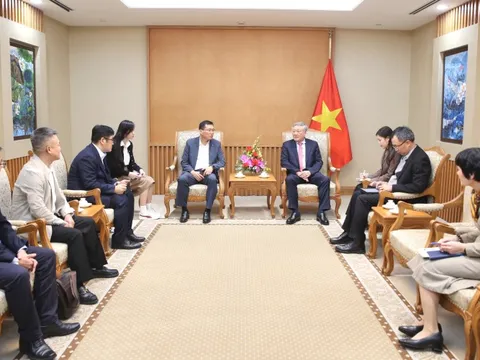 Phó Thủ tướng Thường trực Nguyễn Hòa Bình tiếp Tổng giám đốc điều hành của HD Hyundai Eco Vina