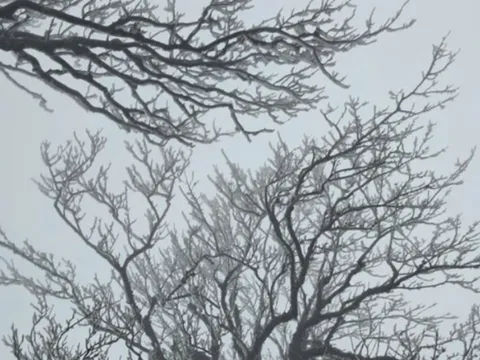 Dự báo thời tiết 9/2: Miền Bắc dồn dập đón đợt không khí lạnh mạnh, dự báo nơi rét đậm nhất