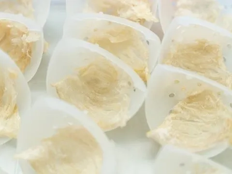 Lần đầu trong lịch sử, Campuchia chuẩn bị đưa một sản vật sang Trung Quốc