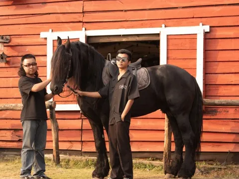 Ngựa đen tiền tỷ “kéo khách” dịp Tết Bính Ngọ: Khách sẵn sàng chi 10 triệu, studio tất bật chạy trend