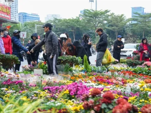 Dự báo thời tiết 13/2: Miền Bắc sắp đón đợt không khí lạnh mạnh tràn về, trời chuyển rét