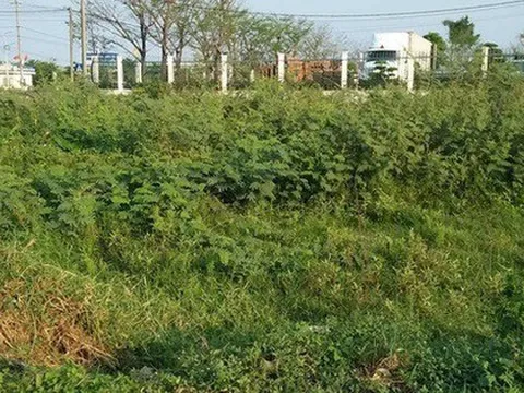 Người dân chuyển đất nông nghiệp sang đất ở trước năm 2026 sẽ được hoàn lại tiền