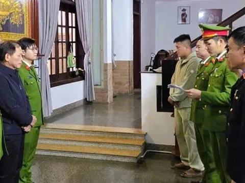 Giám đốc kinh doanh xe điện kê khống 8,3 tỉ đồng tiền lương để trốn thuế