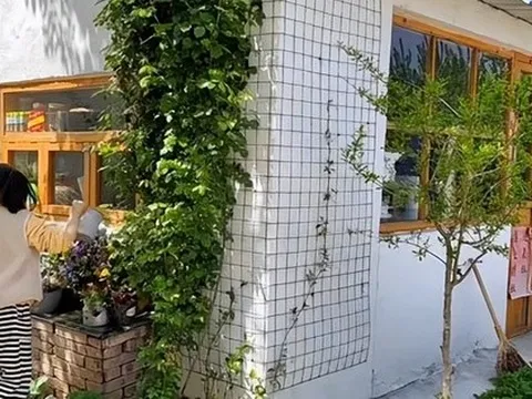 Không mua nhà thành phố, cặp vợ chồng 33 tuổi biến sân quê thành "phòng tắm nắng" và chọn một kiểu tự do tài chính khiến dân mạng tranh luận