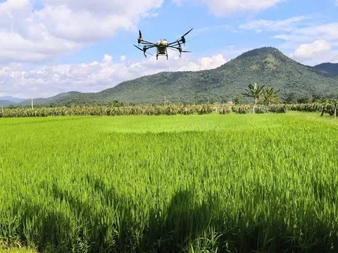 Tương lai mới trên những “cánh đồng không dấu chân”