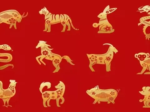 Từ mồng 1 tháng Giêng có 3 con giáp được cát tinh hỗ trợ, quý nhân che chở, sự nghiệp thăng hoa rạng rỡ