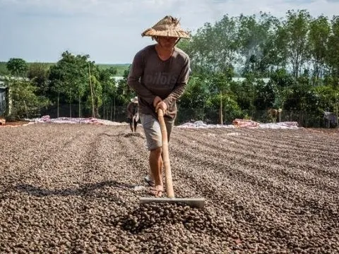 Campuchia vừa đạt được một việc chưa từng có trong lịch sử nhờ Việt Nam và Trung Quốc