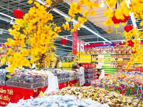 Thị trường hàng hóa bình thường trở lại, không có điểm nóng về giá