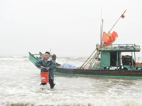 Ngư dân vươn khơi hái lộc biển đầu năm, mang về thuyền đầy tôm, cá