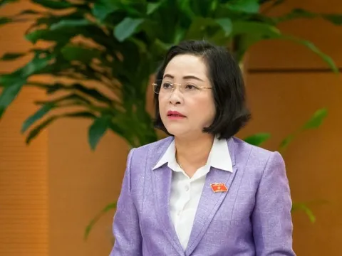 Bộ Chính trị đã có Kết luận quan trọng về công tác bầu cử Quốc hội và HĐND các cấp