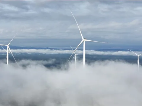 T&T Group cam kết hành động thực chất về chuyển đổi số, chuyển đổi xanh