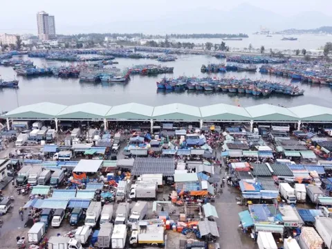 Cảng cá lớn nhất miền Trung sẽ thành cảng du lịch