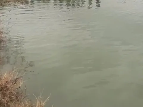 Phát hiện thai phụ cùng con gái 4 tuổi tử vong dưới hồ nước