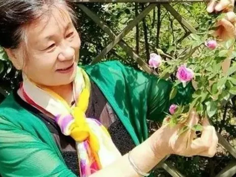 Sân 60m² giữa phố trồng hàng trăm loại rau: Cuộc sống hưu trí khiến nhiều người ước ao vì mỗi ngày ăn một loại rau khác nhau