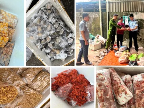 4 tấn nầm lợn, tràng trứng, chả mực, bạch tuộc… không rõ nguồn gốc suýt vào quán nhậu: Lời khai gây giật mình của chủ kho đông lạnh