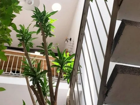 Ông bà dặn: Nhà có 4 dấu hiệu này đừng bao giờ bán, càng ở càng giàu, con cháu tha hồ hưởng lợi