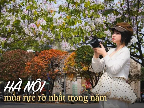 Ăn chơi cho hết tháng Giêng, mùa săn hoa đã đến khiến cả Hà Nội đứng ngồi không yên