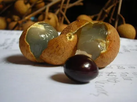 Loại quả quen thuộc khiến bé chưa đầy 2 tuổi nguy kịch, nhiều phụ huynh vẫn chủ quan