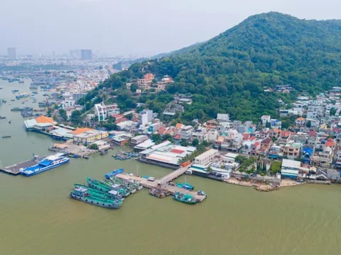 Đề xuất chọn nhà đầu tư đường vượt biển Cần Giờ-Vũng Tàu theo hình thức đặc biệt