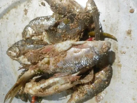 3 cháu bé nguy kịch sau khi ăn món cá chế biến kiểu “lạ”, bác sĩ cảnh báo đừng chủ quan