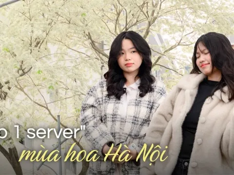 Cả Hà Nội phát sốt vì những cây hoa này: Chỗ đẹp như ngôn tình, nơi đã xác xơ - đi nhầm phí công vô ích!