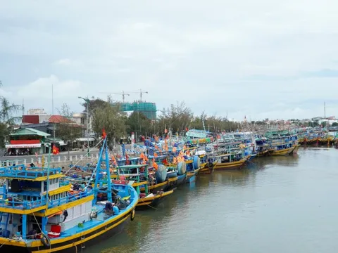 Bến cá Phan Thiết đìu hiu, tàu cá dè dặt ra khơi vì nhiên liệu tăng giá