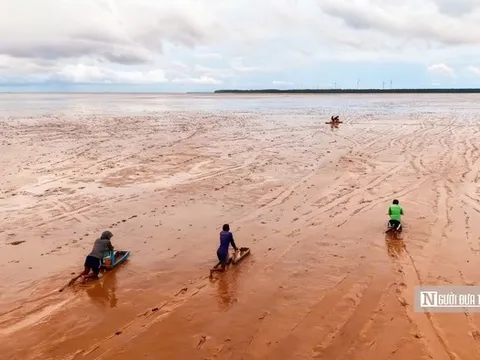 Độc đáo nghề “chạy mong” trên bãi bồi ven biển Mỏ Ó