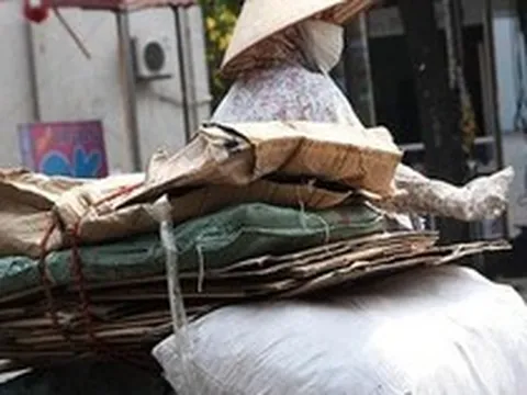 Thu mua phế liệu bìa carton có doanh thu trên 3 tỷ đồng, thiếu hóa đơn đầu vào phải xử lý ra sao? Cơ quan Thuế giải đáp