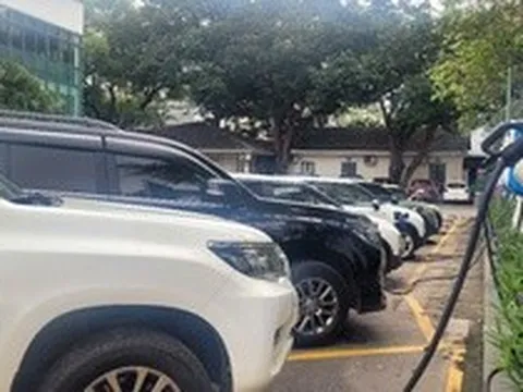 Thủ tướng: Nghiên cứu, ban hành chính sách khuyến khích phát triển xe điện