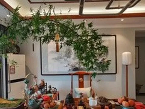 Ông bà dặn kỹ: 6 vị trí trong nhà tuyệt đối không nên đặt cây cảnh, sai một ly gia đình dễ lục đục