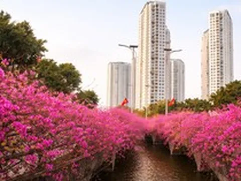 Những 'ốc đảo hoa' níu chân nhiều người