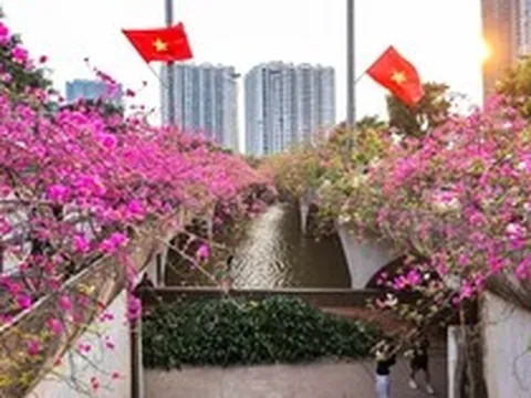 Hoa giấy phủ kín cầu Thủy Tiên, khung cảnh như 'xứ sở thần tiên'