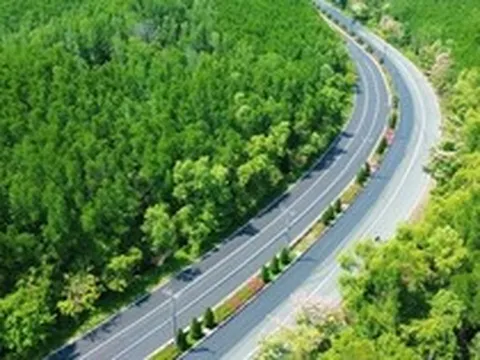 Một tuyến đường đang "đốn tim" giới trẻ TPHCM