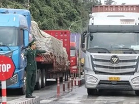 Đề xuất kéo dài tạm ngưng Nghị định 46, Nghị quyết 66.13