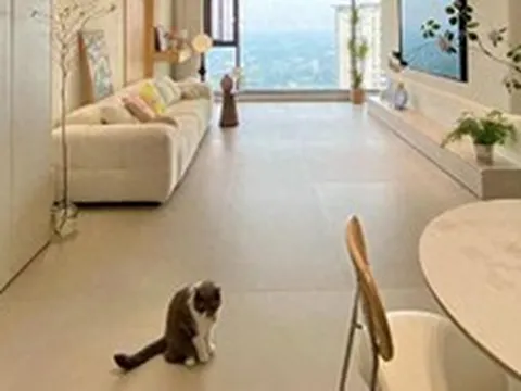 Bất chấp mọi lời khuyên, tôi vẫn lát gạch 600×1200mm cho phòng khách và sau khi ở 6 tháng, đây là điều tôi muốn nói thật