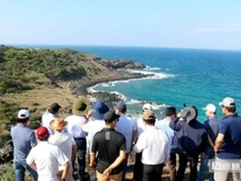 Phú Quý hút khách mạnh, hướng tới trở thành điểm đến biển đảo nổi bật khu vực