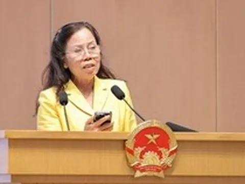 Doanh nghiệp dệt may 30 năm tuổi gây bất ngờ: Trồng tía tô bán 700 đồng/lá, vải không hạt 400.000 đồng/kg