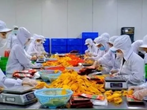 Xung đột Trung Đông: Cú sốc dây chuyền tới xuất khẩu nông sản Việt