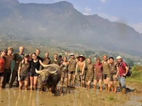 Không phải Bali hay Chiang Mai, báo Tây gọi tên một nơi ở Việt Nam là điểm chữa lành đáng ghé nhất 2026