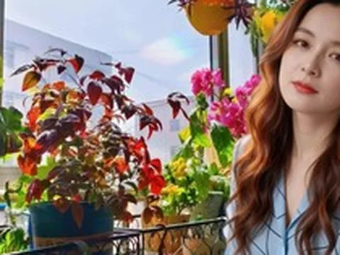 Ban công 3m² của người phụ nữ 45 tuổi gây sốt: Trồng vài chậu cây đơn giản mà biến nhà thành nơi muốn về sớm mỗi ngày