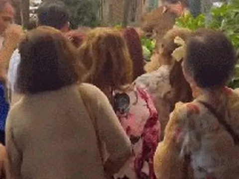 Chuyện gì xảy ra tại quán cà phê ở Thảo Điền của "ông hoàng nhạc Việt" đình đám một thời?