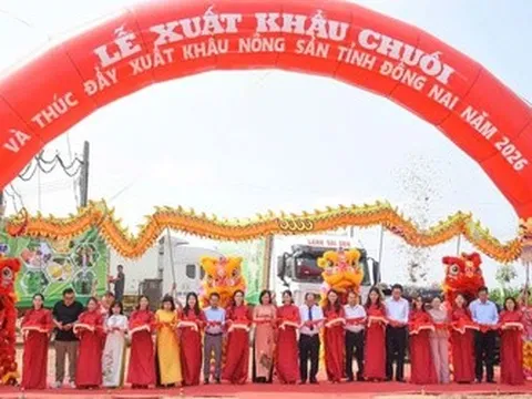 Đồng Nai xuất khẩu 220 tấn chuối, mở rộng thị trường nông sản năm 2026