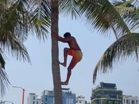 Khách Tây leo dừa thoăn thoắt ngay biển Đà Nẵng, kỹ năng khiến người Việt cũng phải chào thua