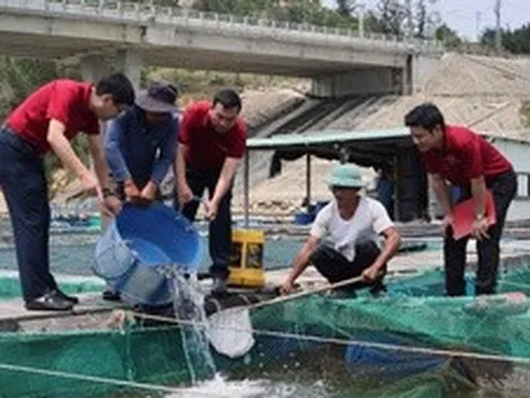 Agribank – Hành trình bền bỉ phục vụ phát triển 'tam nông'