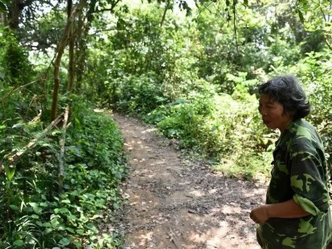 Hai "dị nhân" sống giữa "ốc đảo" biệt lập ở Phú Thọ, không tiêu đến tiền, vẫn khỏe mạnh